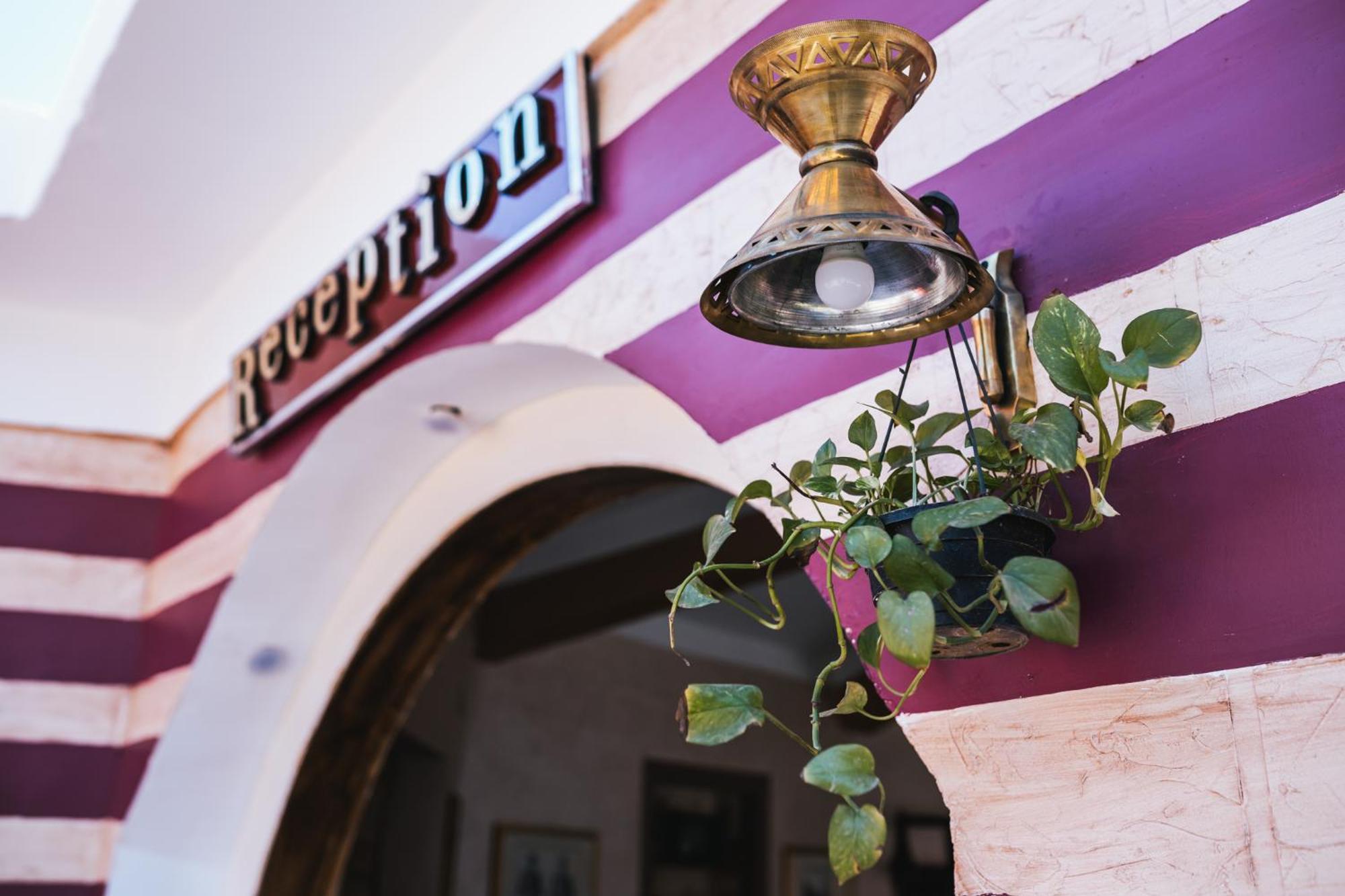 Tuya Hotel Abu Szimbel Kültér fotó
